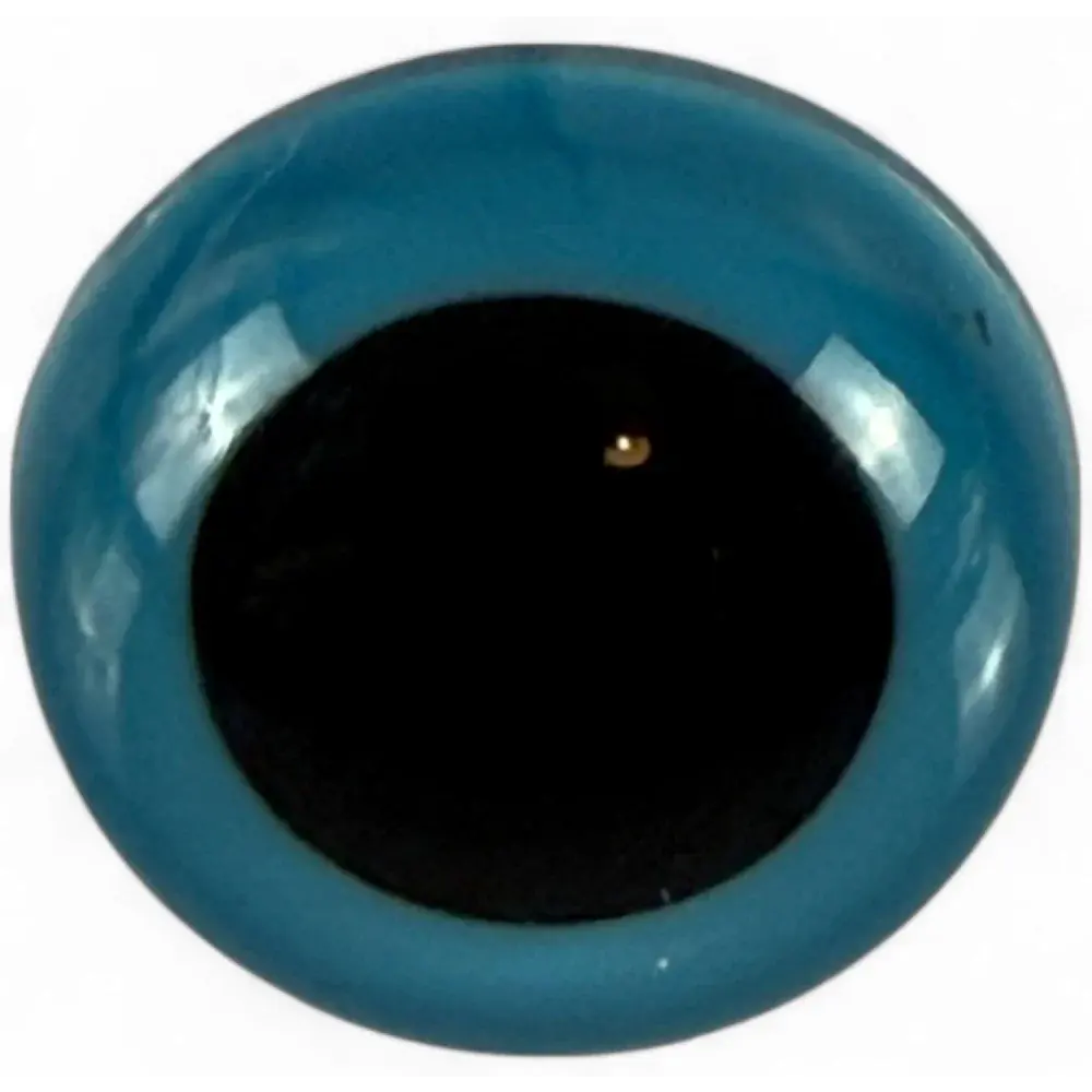 Glossy blue eye with black pupil.