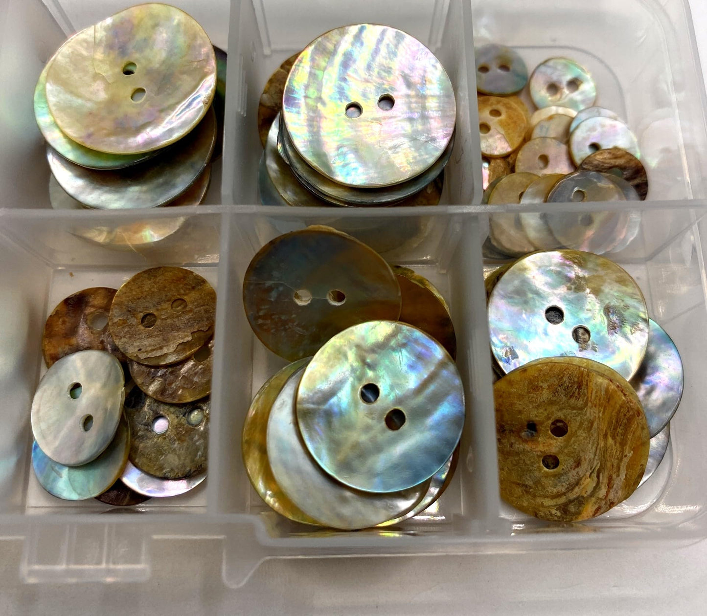 KnitForLess 120Pcs Box Set Mother of Pearl Shell Buttons 2 Hole Knitting Crafts Scrapbook