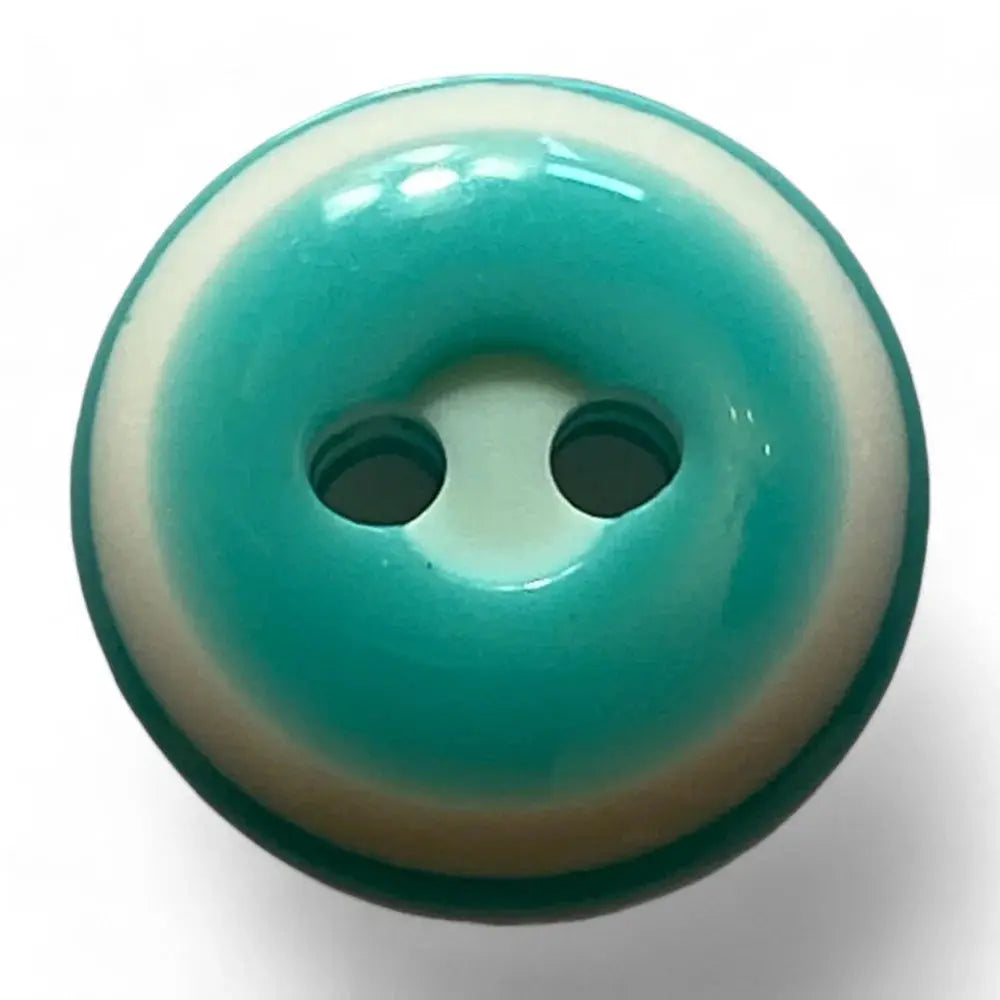 Two-hole turquoise and white button.