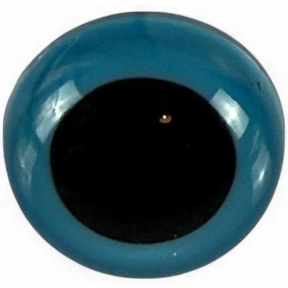 Glossy blue eye with black pupil.