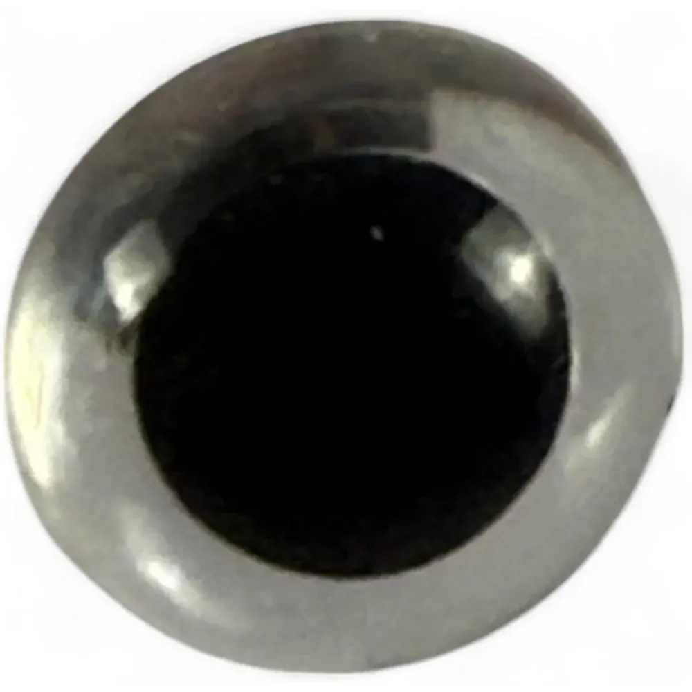Shiny black and silver eye.