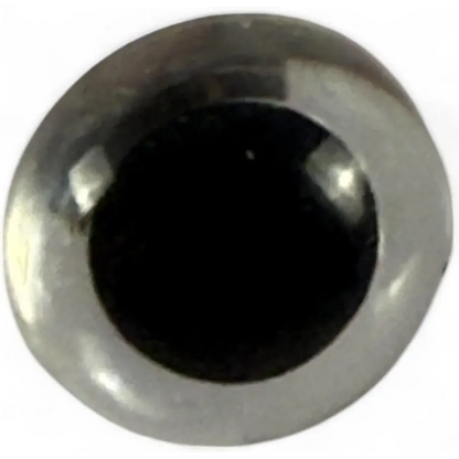 Shiny black and silver eye.