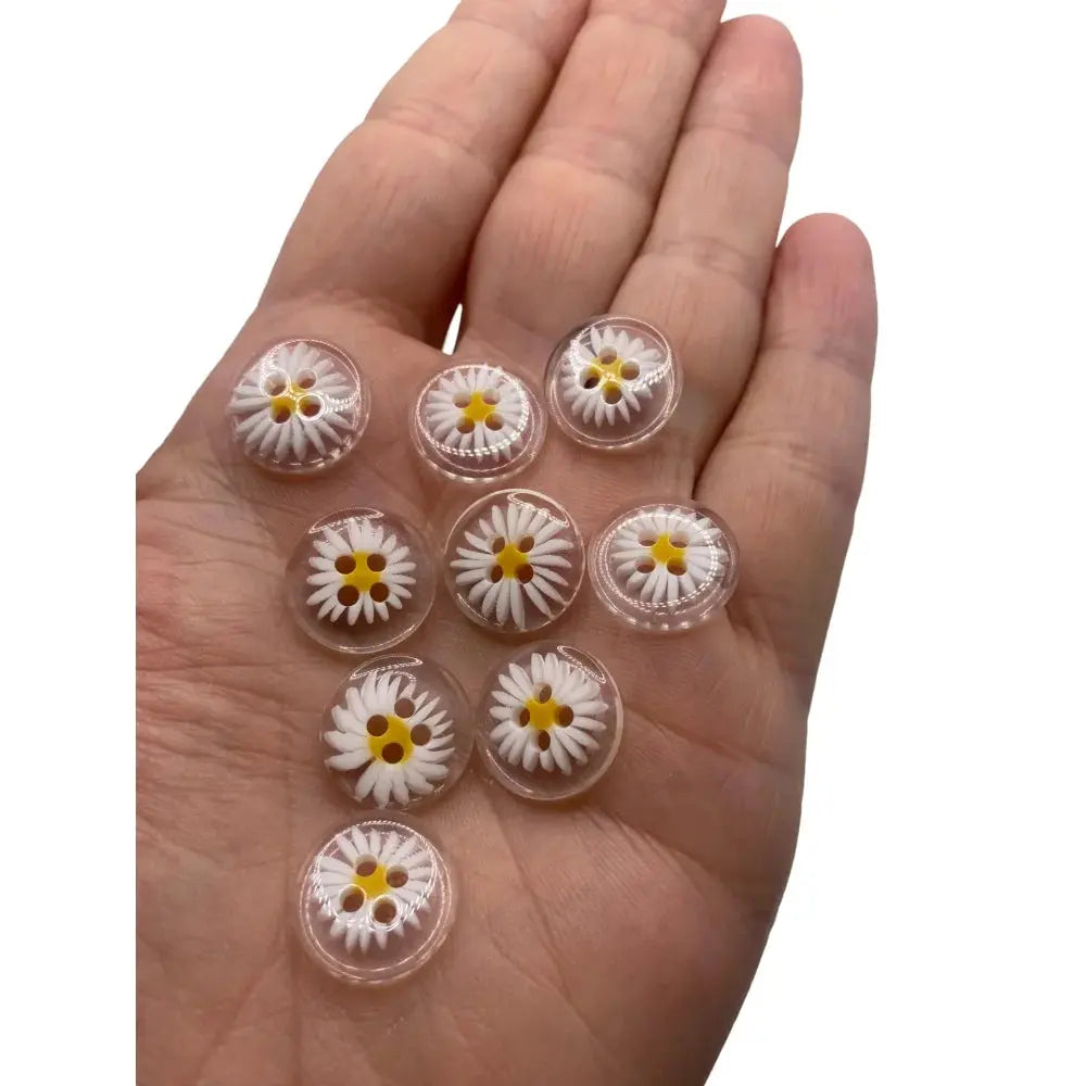 Hand holding clear daisy buttons.