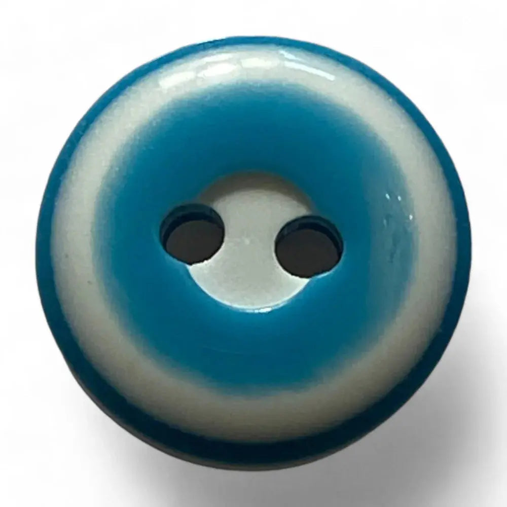 Two-hole blue and white button.